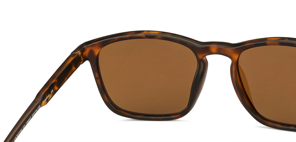 -Frame Wayfarer--SG -Frame Wayfarer--SG