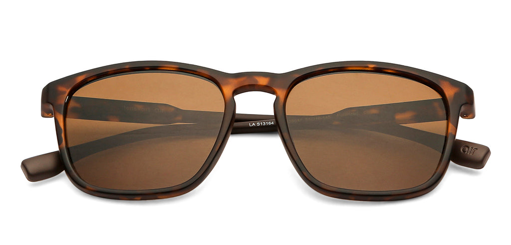 -Frame Wayfarer--SG -Frame Wayfarer--SG