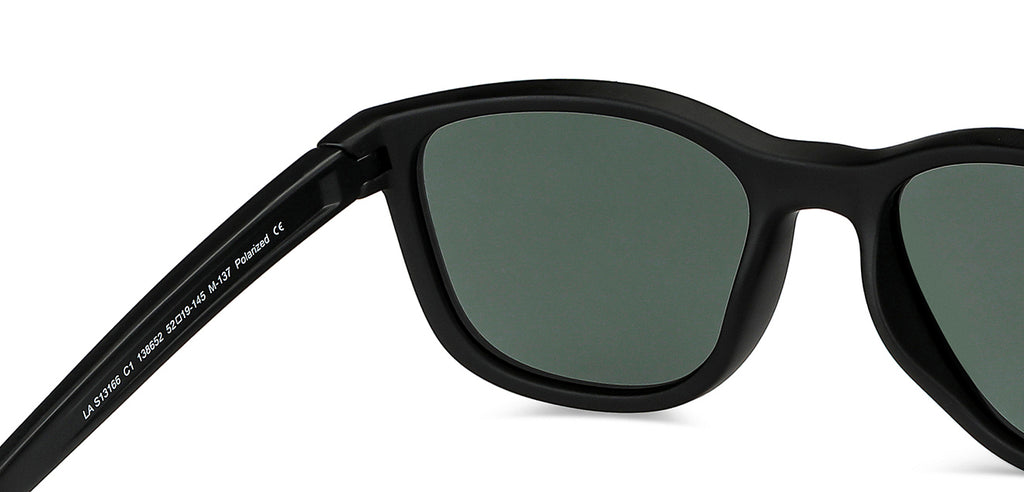 -Frame Wayfarer--SG -Frame Wayfarer--SG