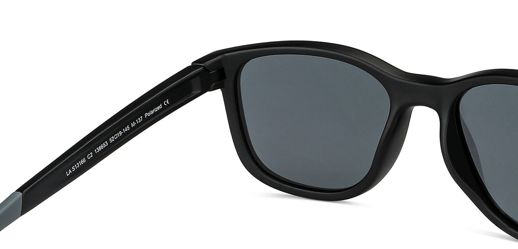Wayfarer Sunglasses-Frame Wayfarer--SG Wayfarer Sunglasses-Frame Wayfarer--SG