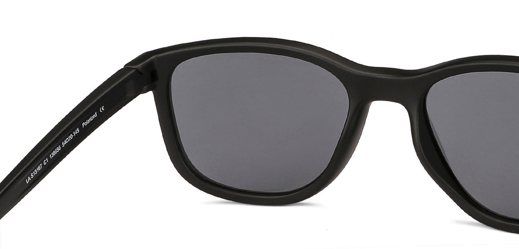 -Frame Wayfarer--SG -Frame Wayfarer--SG