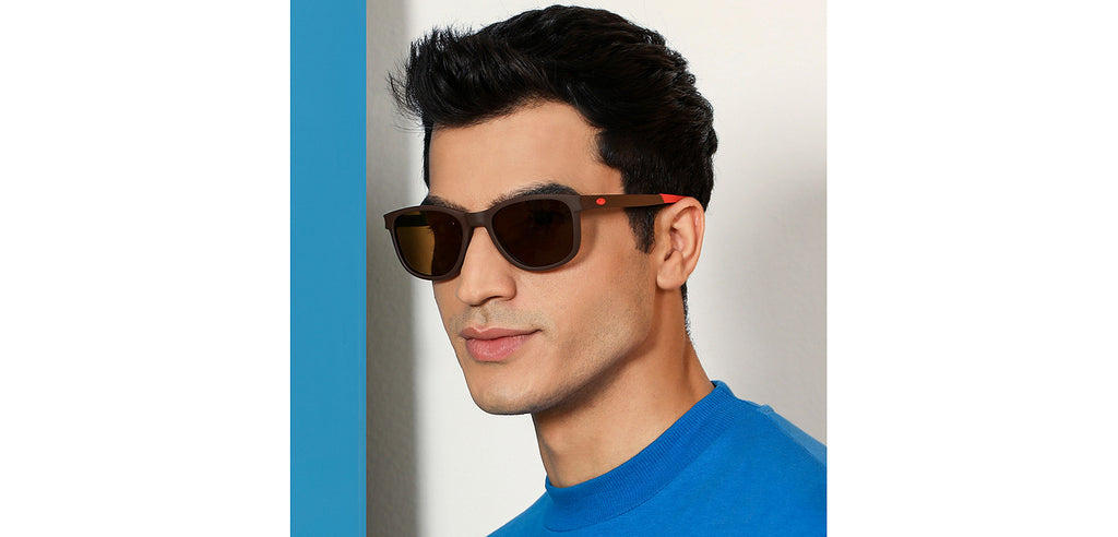 -Frame Wayfarer--SG -Frame Wayfarer--SG