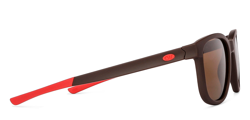 -Frame Wayfarer--SG -Frame Wayfarer--SG