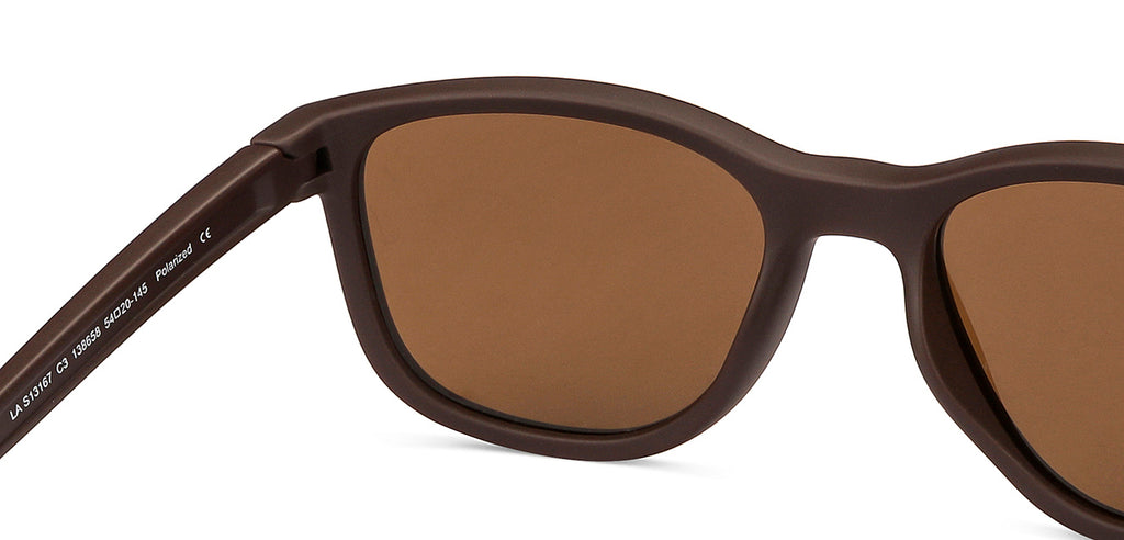 -Frame Wayfarer--SG -Frame Wayfarer--SG