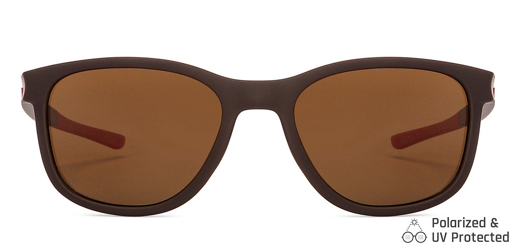 -Frame Wayfarer--SG -Frame Wayfarer--SG