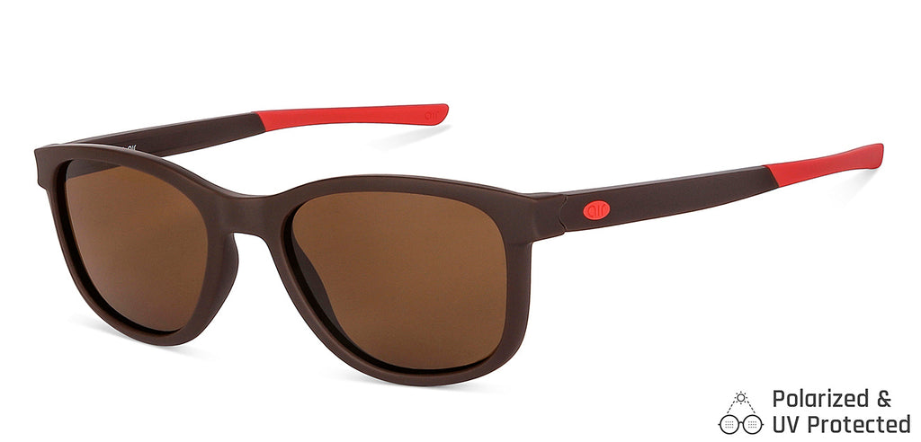 -Frame Wayfarer--SG -Frame Wayfarer--SG