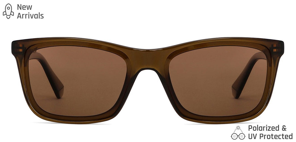 -Frame Wayfarer--SG -Frame Wayfarer--SG