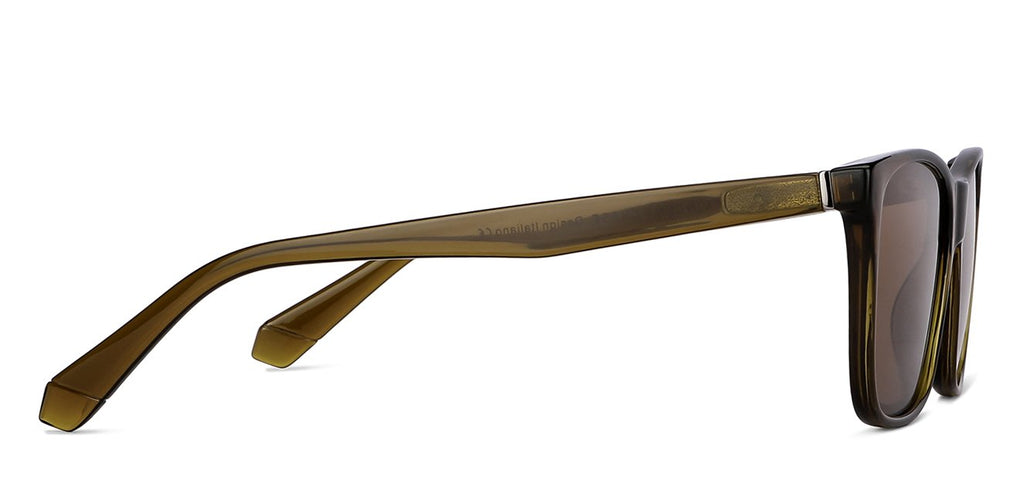 -Frame Wayfarer--SG -Frame Wayfarer--SG