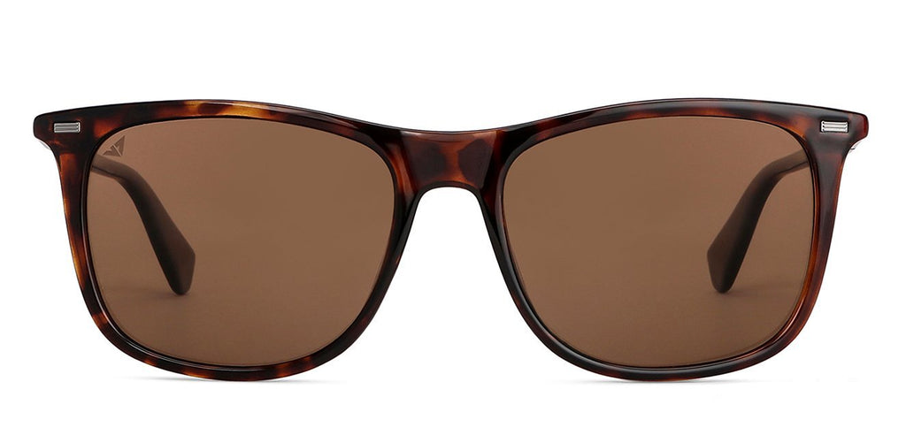 -Frame Wayfarer--SG -Frame Wayfarer--SG