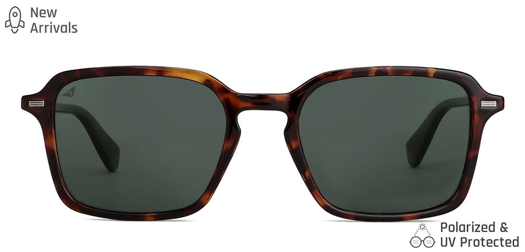 -Frame Wayfarer--SG -Frame Wayfarer--SG