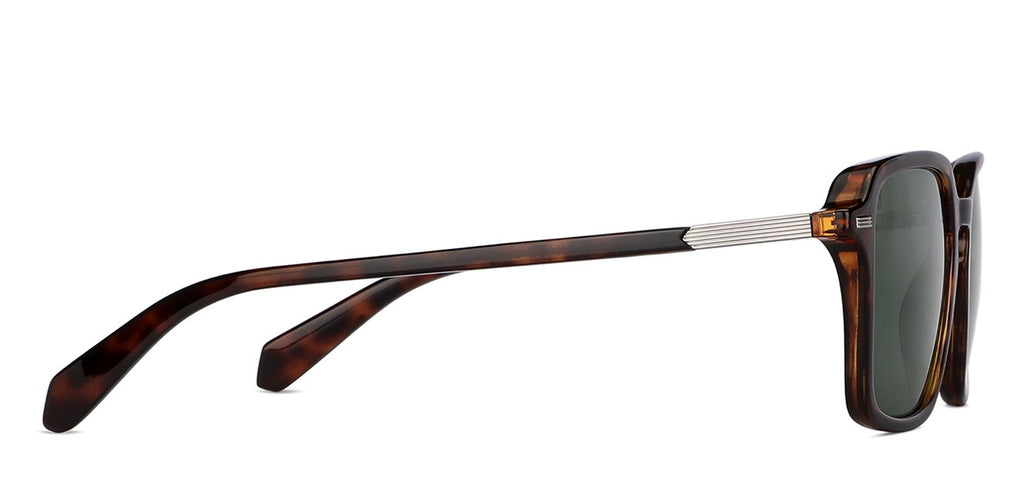 -Frame Wayfarer--SG -Frame Wayfarer--SG