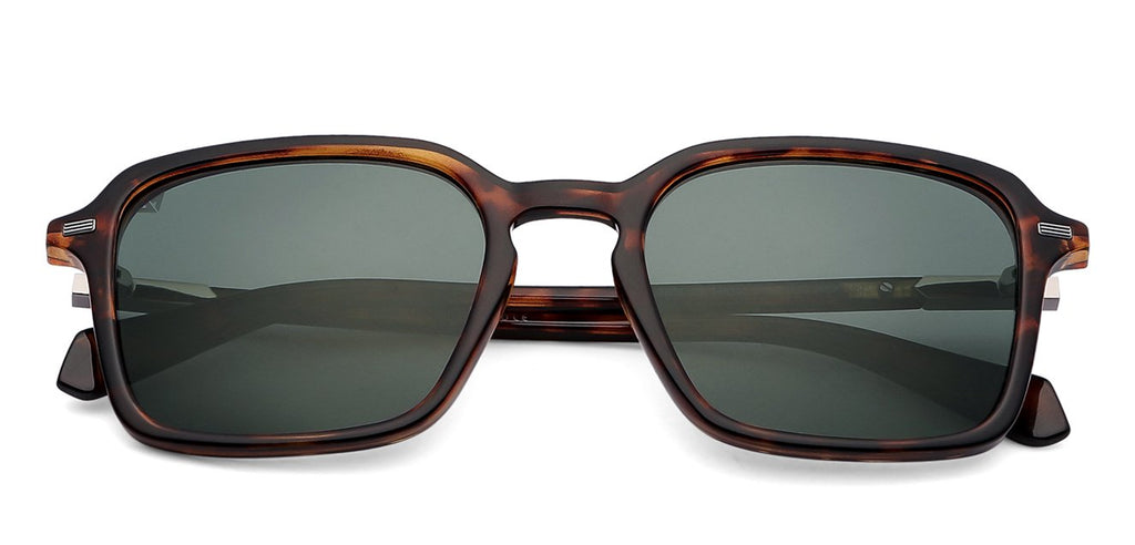 -Frame Wayfarer--SG -Frame Wayfarer--SG