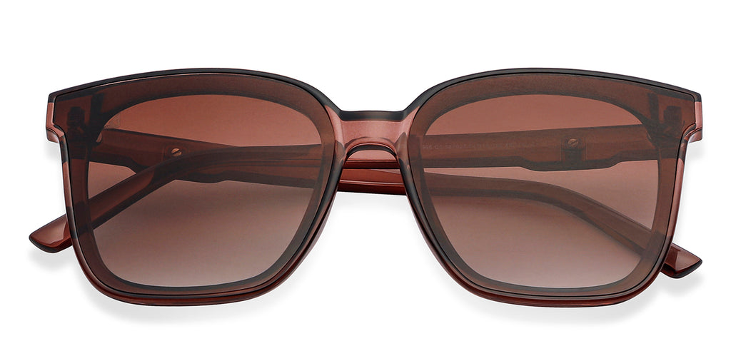 -Frame Wayfarer--SG -Frame Wayfarer--SG