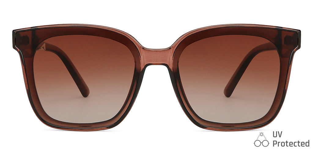 -Frame Wayfarer--SG -Frame Wayfarer--SG
