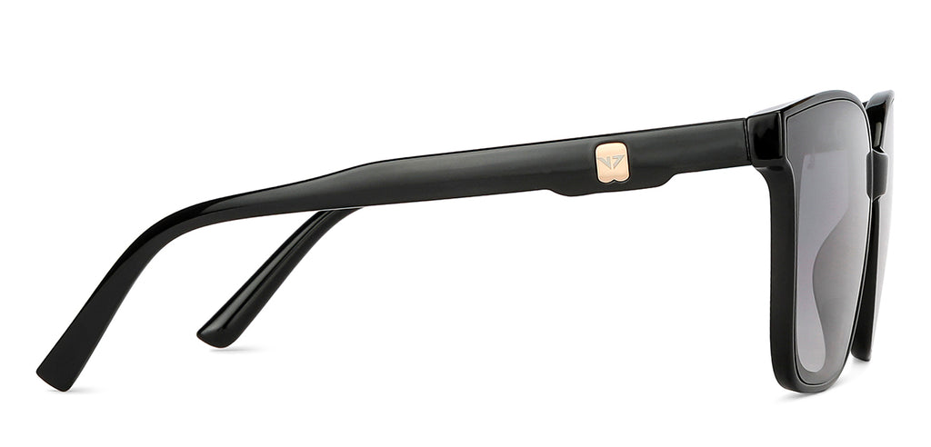 -Frame Wayfarer--SG -Frame Wayfarer--SG