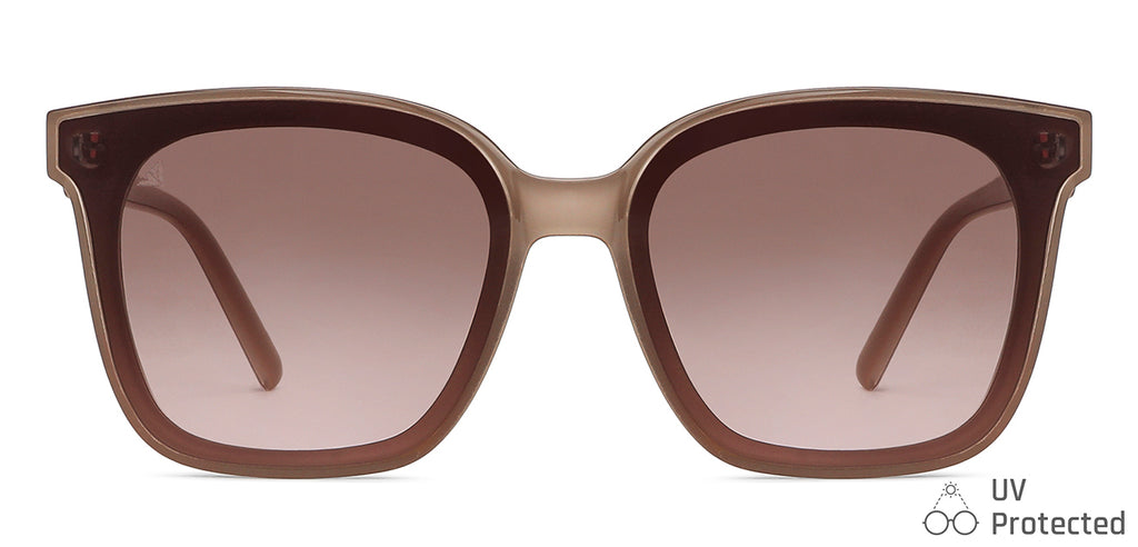 -Frame Wayfarer--SG -Frame Wayfarer--SG