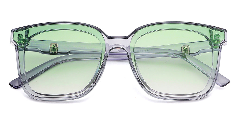 -Frame Wayfarer--SG -Frame Wayfarer--SG