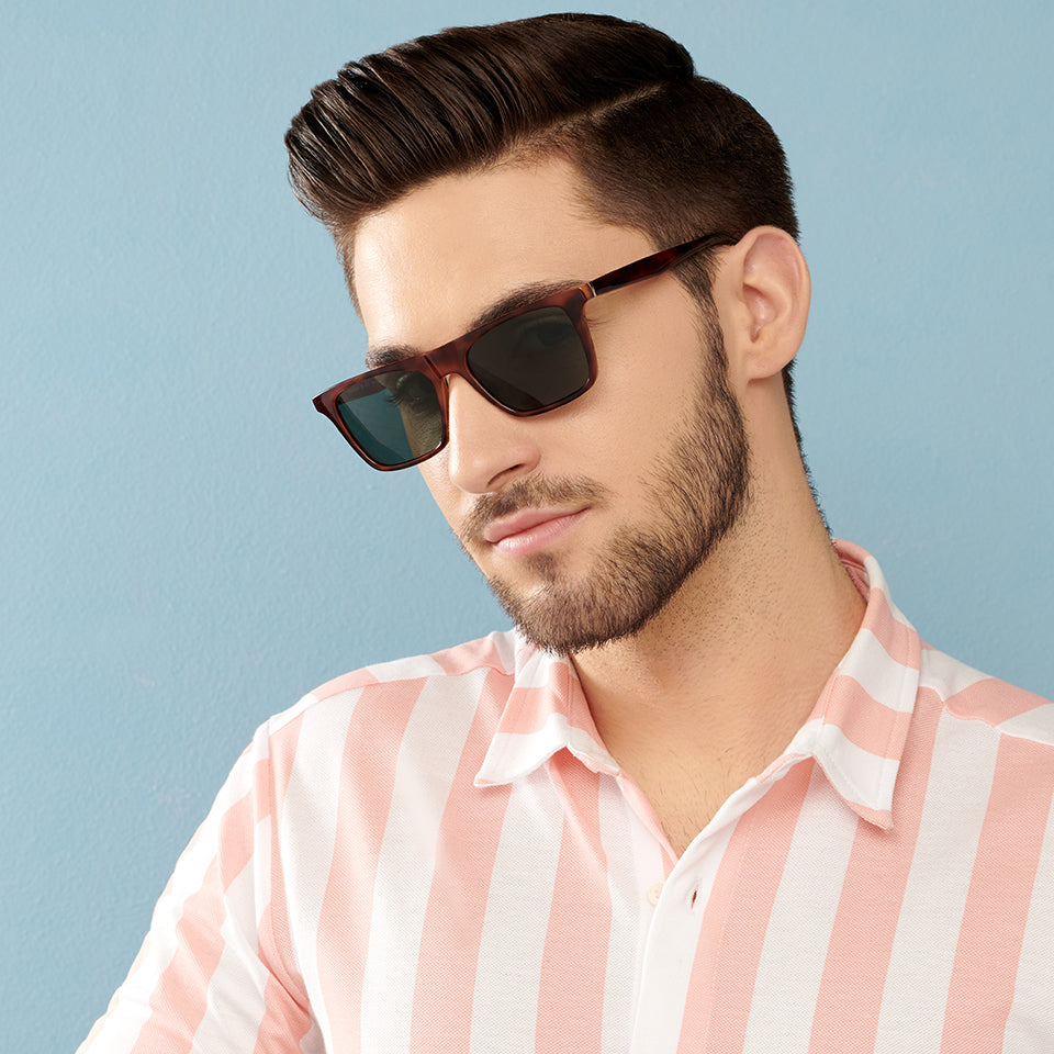 -Frame Wayfarer--SG -Frame Wayfarer--SG