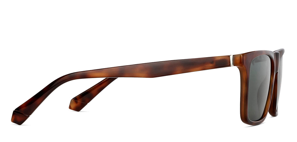 -Frame Wayfarer--SG -Frame Wayfarer--SG