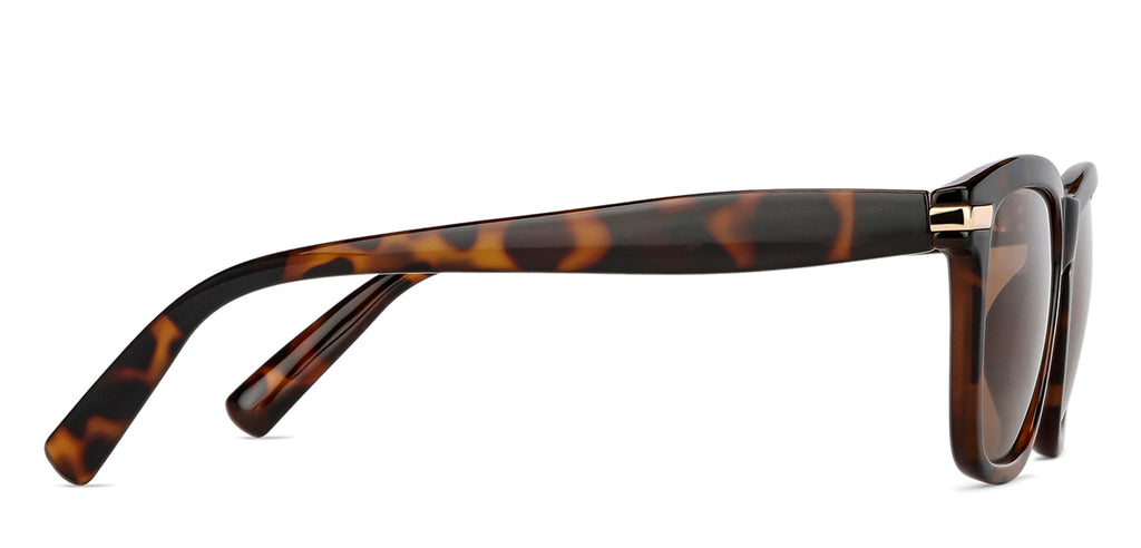 -Frame Wayfarer--SG -Frame Wayfarer--SG
