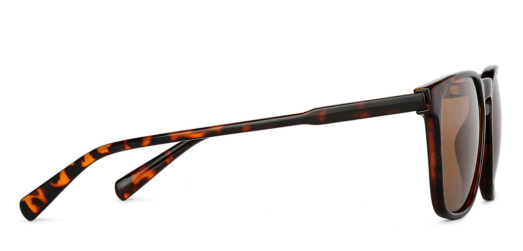 -Frame Wayfarer--SG -Frame Wayfarer--SG