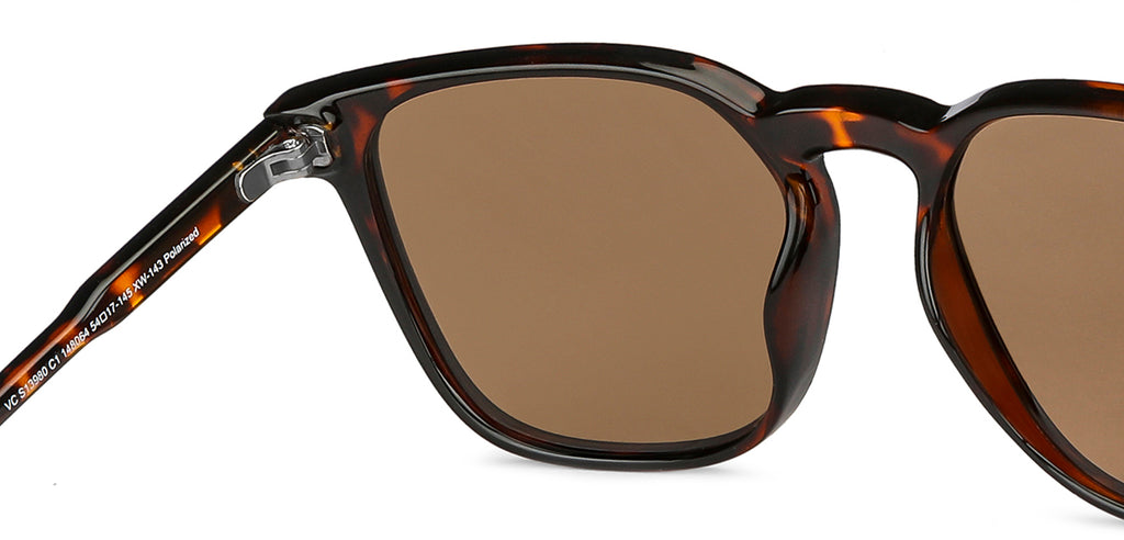 -Frame Wayfarer--SG -Frame Wayfarer--SG
