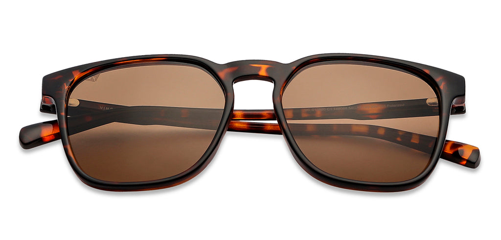 -Frame Wayfarer--SG -Frame Wayfarer--SG