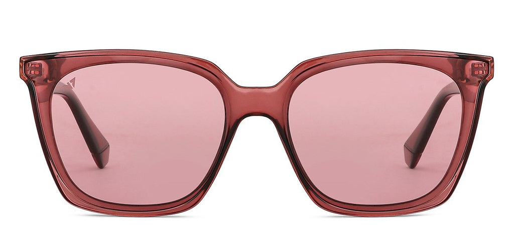 -Frame Wayfarer--SG -Frame Wayfarer--SG