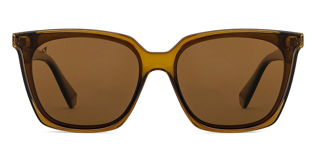 -Frame Wayfarer--SG -Frame Wayfarer--SG