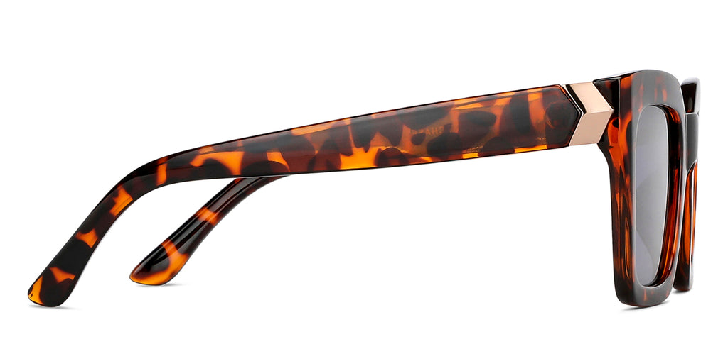 -Frame Wayfarer--SG -Frame Wayfarer--SG