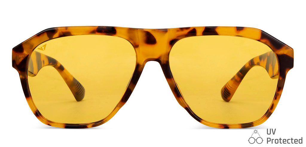 -Frame Wayfarer--SG -Frame Wayfarer--SG