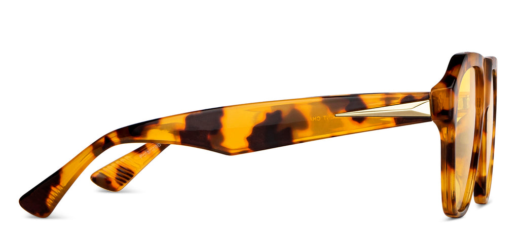 -Frame Wayfarer--SG -Frame Wayfarer--SG