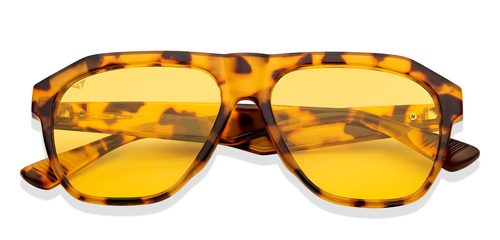 -Frame Wayfarer--SG -Frame Wayfarer--SG