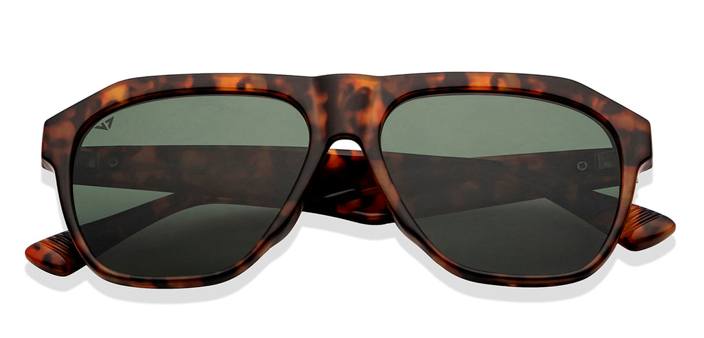 -Frame Wayfarer--SG -Frame Wayfarer--SG