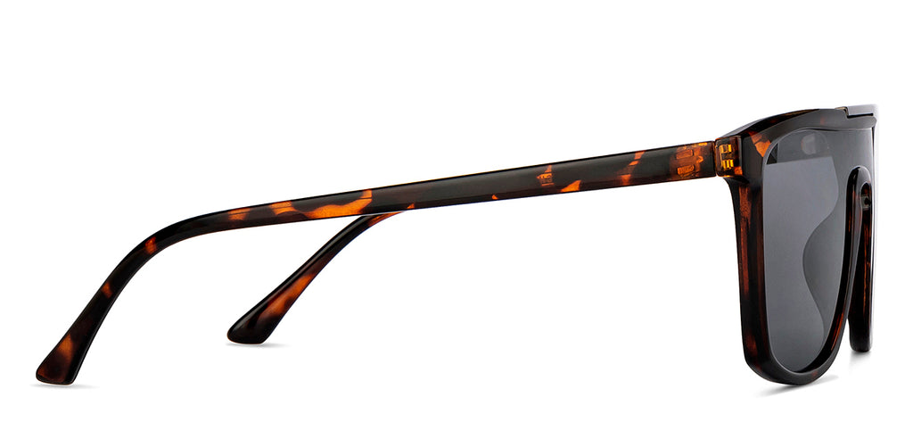 -Frame Wayfarer--SG -Frame Wayfarer--SG