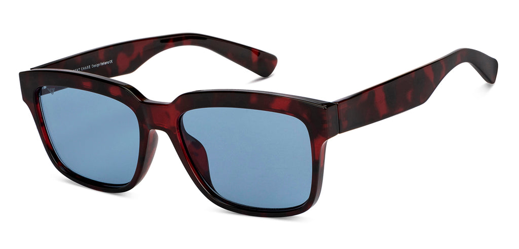-Frame Wayfarer--SG -Frame Wayfarer--SG