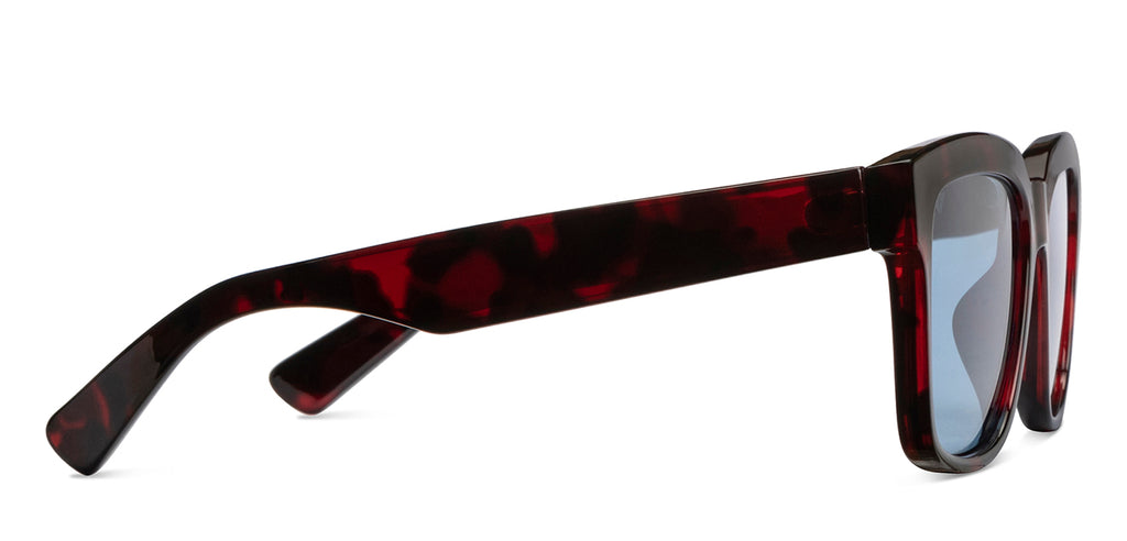 -Frame Wayfarer--SG -Frame Wayfarer--SG