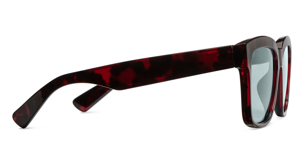 -Frame Wayfarer--SG -Frame Wayfarer--SG