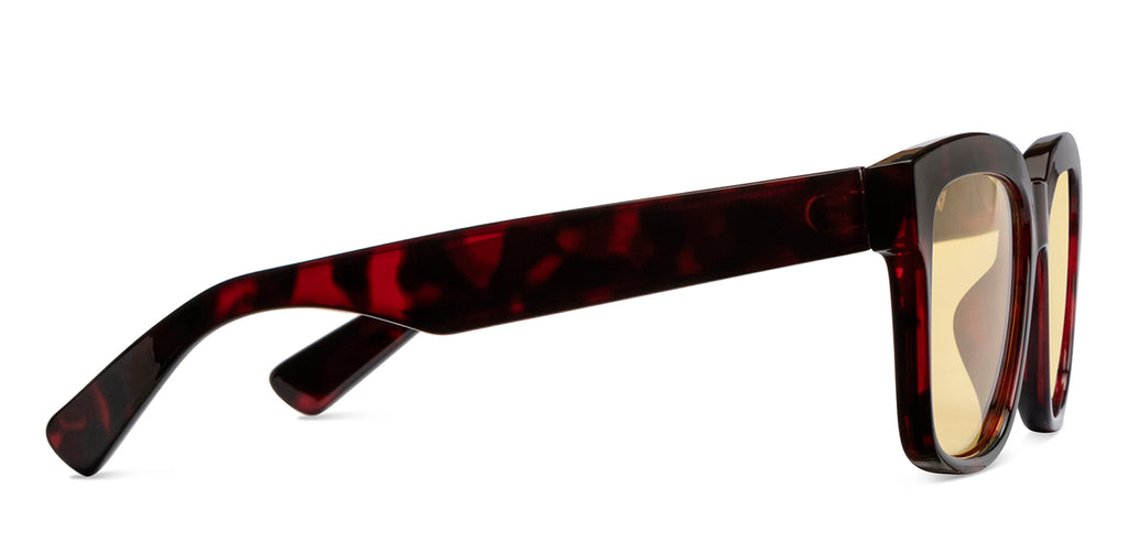 -Frame Wayfarer--SG -Frame Wayfarer--SG