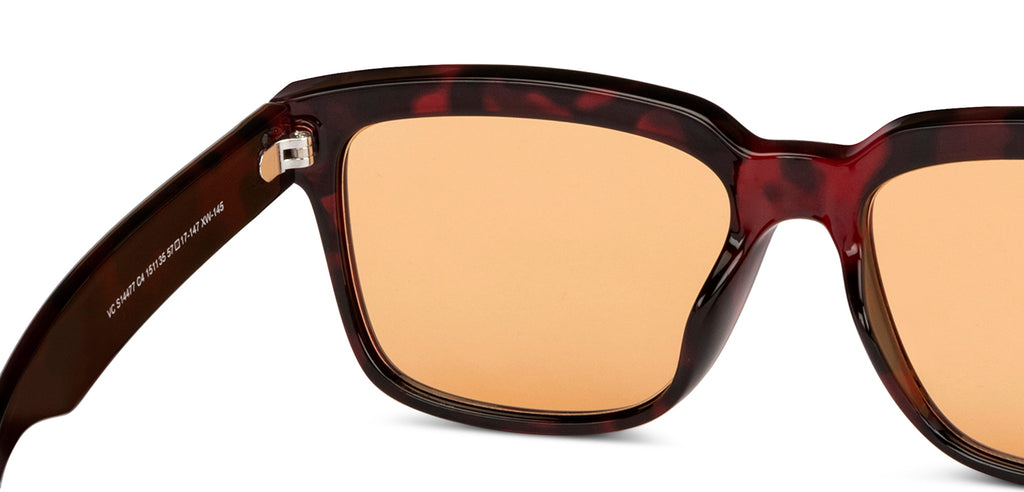 -Frame Wayfarer--SG -Frame Wayfarer--SG