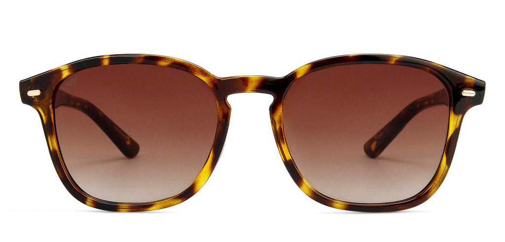 -Frame Rectangle--SG