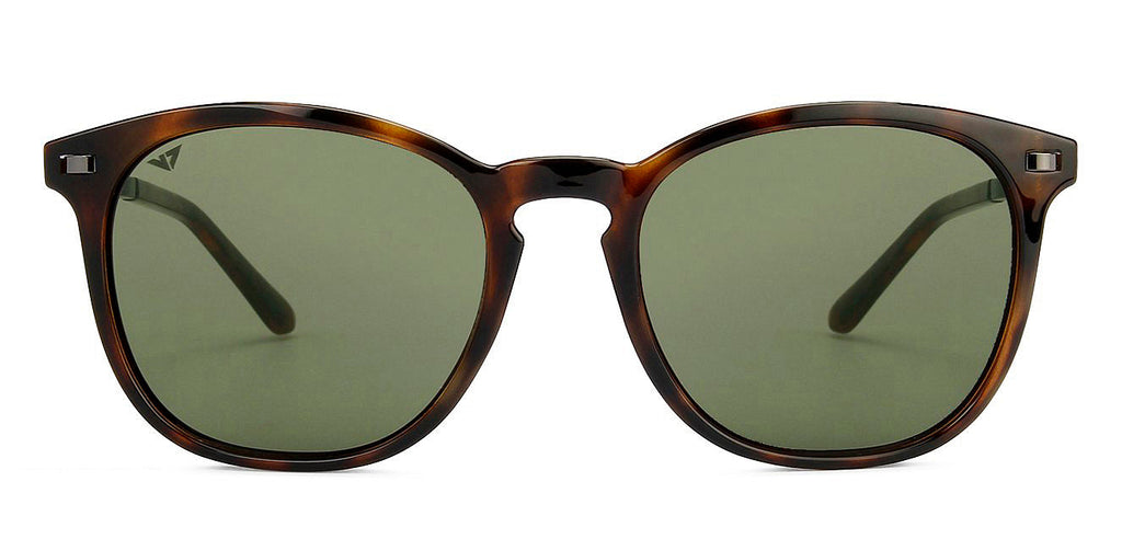 -Frame Wayfarer--SG