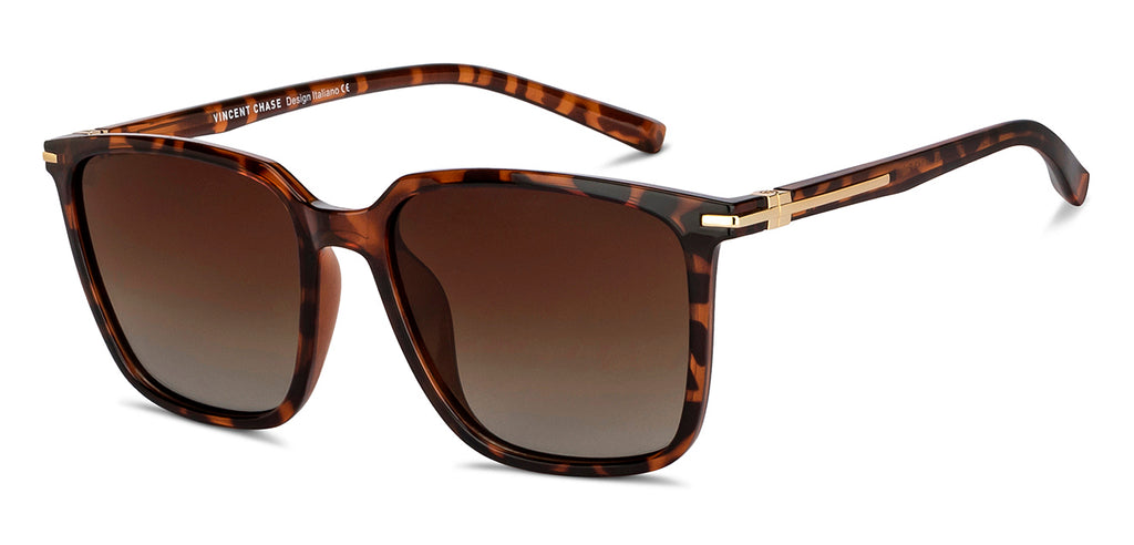 -Frame Wayfarer--SG