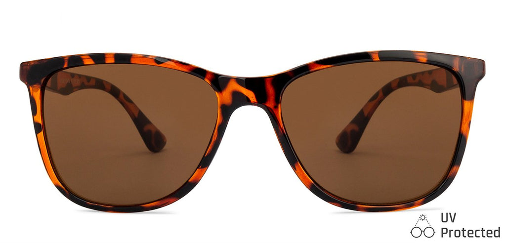 Wayfarer Sunglasses-Frame Wayfarer--SG