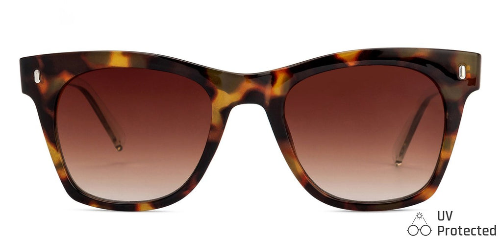 Wayfarer Sunglasses-Frame Wayfarer--SG