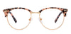 JJ E10243
