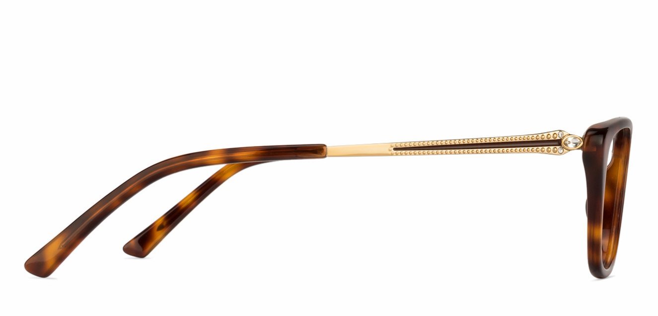 Spectacles Image United States