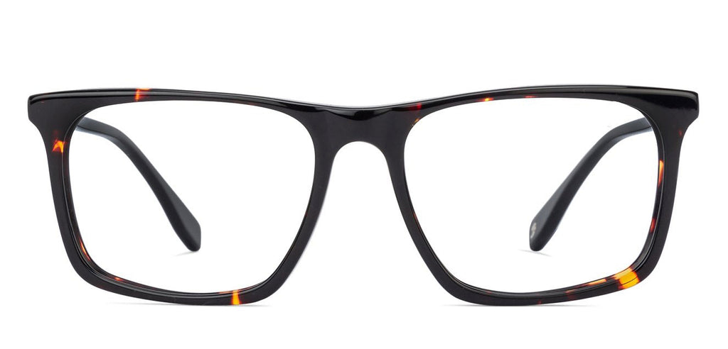 Wayfarer Eyeglasses-Frame Wayfarer--EG