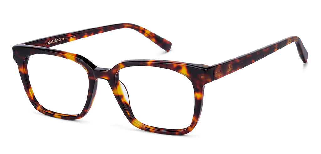Wayfarer Eyeglasses-Frame Wayfarer--EG