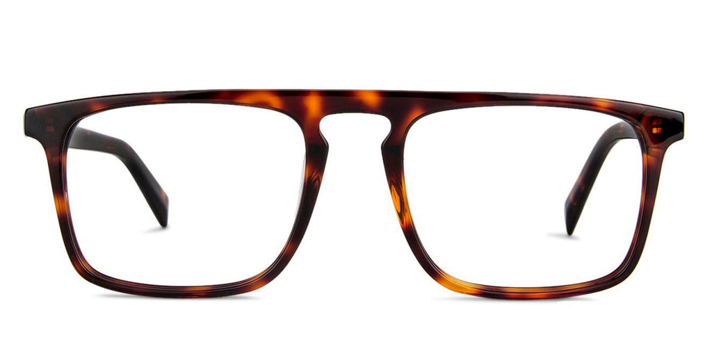 Wayfarer Eyeglasses-Frame Wayfarer--EG